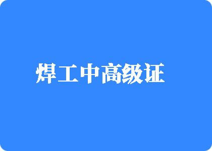 中日老太太三级黄片焊工中高级证